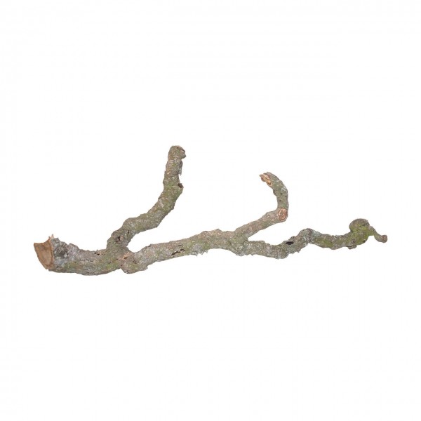 Tronchos - Cork Branches