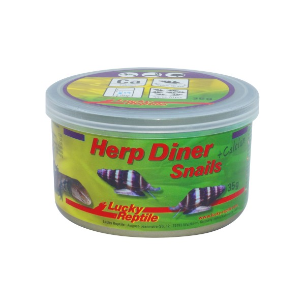 Lucky Reptile Herp Diner Snails