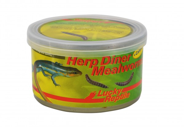 Lucky Reptile Herp Diner Mealworms