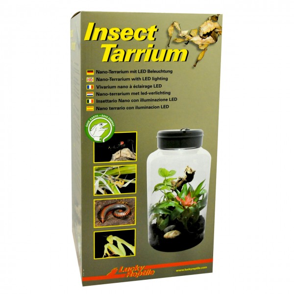 Lucky Reptile Insect-Tarrium