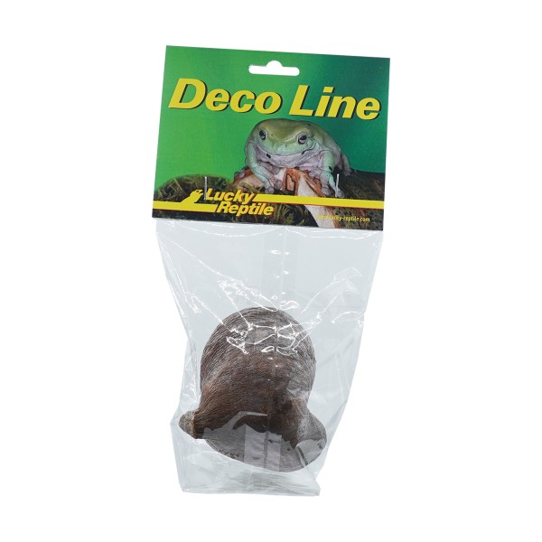 "Rose of Jericho"