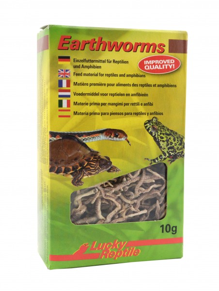 Lucky Reptile Earthworms