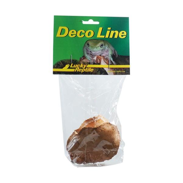 "Rose of Jericho"