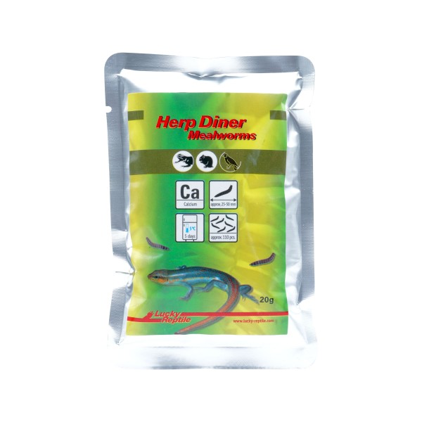 Herp Diner Mealworms