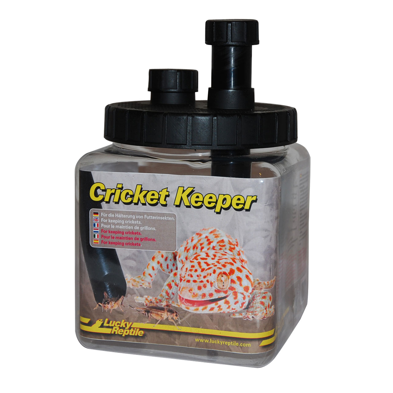 Cricket Keeper, Tools for Feeding and Drinking, Tools