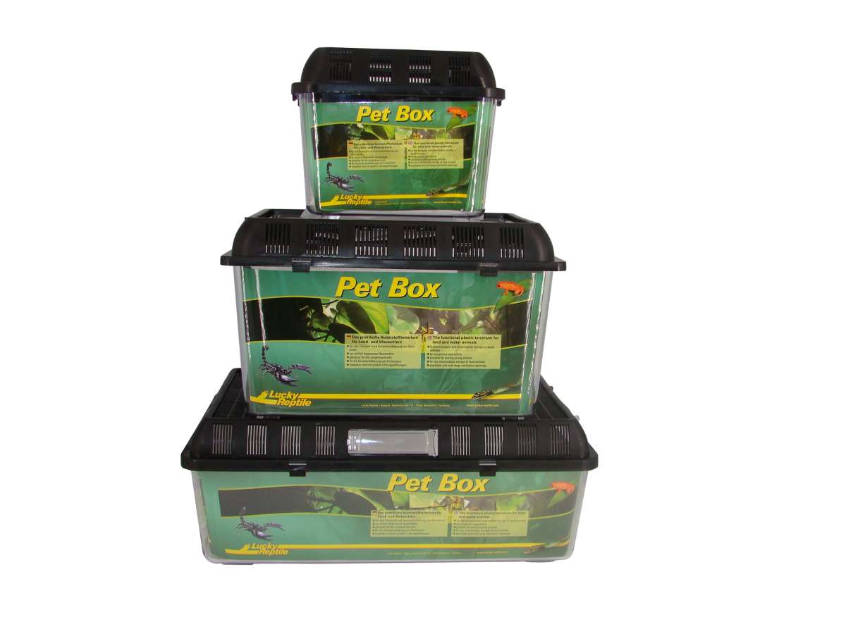 Lucky Reptile Pet Box | Plastic Boxes and Terrariums | Vivariums and ...