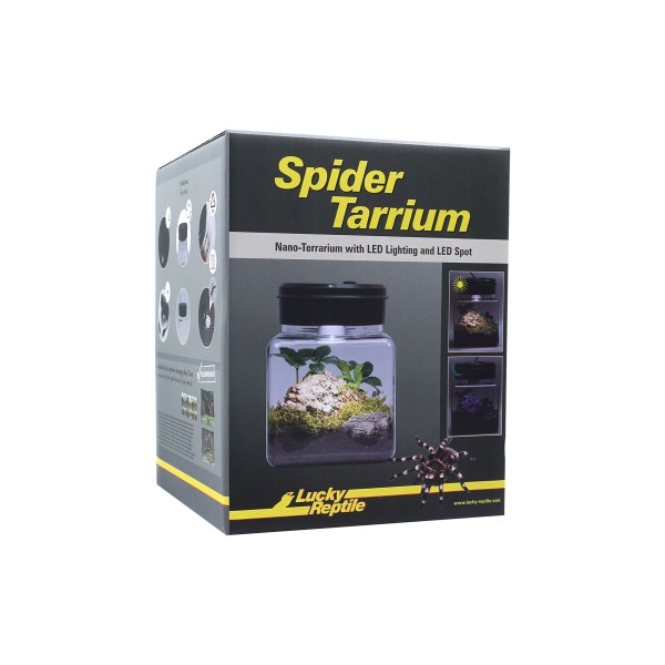 SpiderTarrium