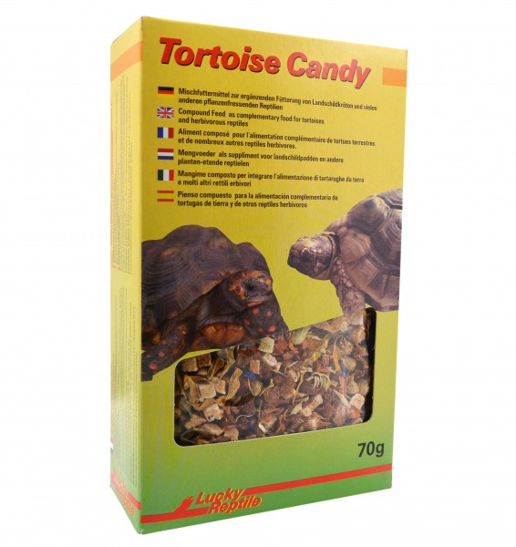 Lucky Reptile Tortoise Candy