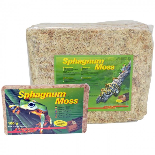 Lucky Reptile Sphagnum Moss