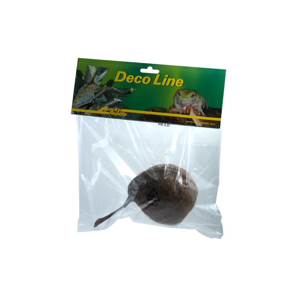 "Rose of Jericho"