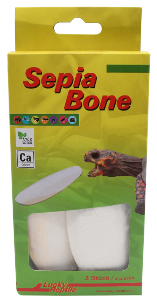 Lucky Reptile Sepia Bone