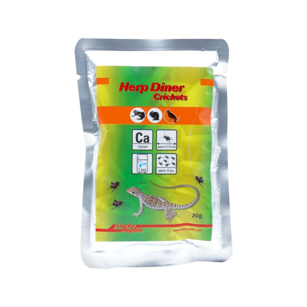 Lucky Reptile Herp Diner Crickets