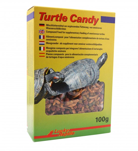 Turtle Candy
