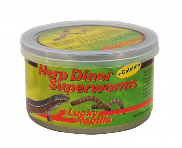 Lucky Reptile Herp Diner Super Worms