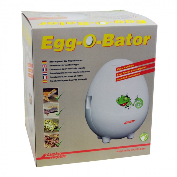 Egg o bator - Der Vergleichssieger 