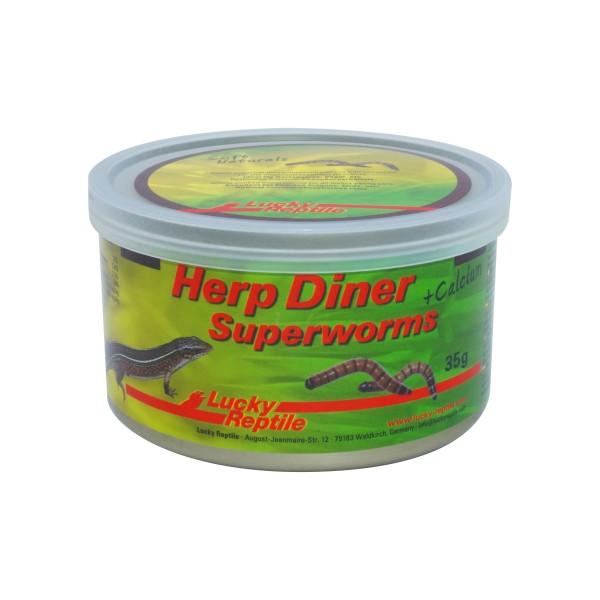 Herp Diner Super Worms