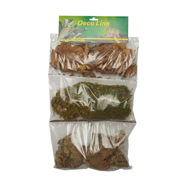"Rose of Jericho"